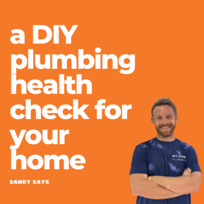 diy plumbing health check